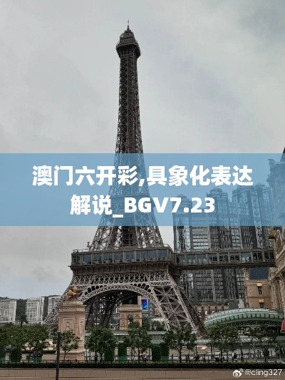 澳门六开彩,具象化表达解说_BGV7.23