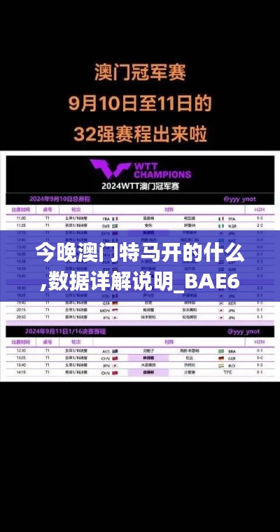 今晚澳门特马开的什么,数据详解说明_BAE6.17