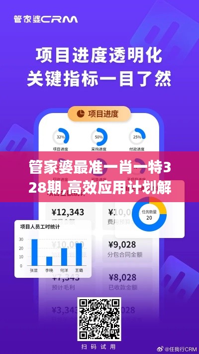 管家婆最准一肖一特328期,高效应用计划解答策略_JLK2.43