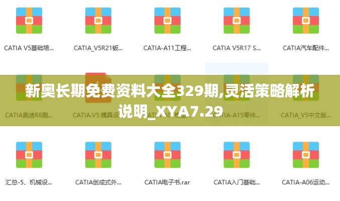 新奥长期免费资料大全329期,灵活策略解析说明_XYA7.29