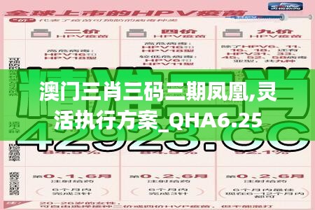 澳门三肖三码三期凤凰,灵活执行方案_QHA6.25