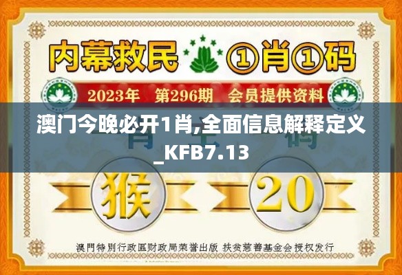 澳门今晚必开1肖,全面信息解释定义_KFB7.13