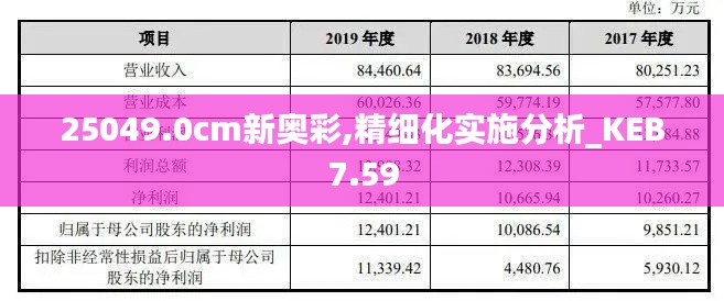 25049.0cm新奥彩,精细化实施分析_KEB7.59