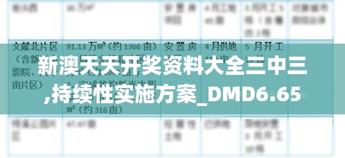 新澳天天开奖资料大全三中三,持续性实施方案_DMD6.65