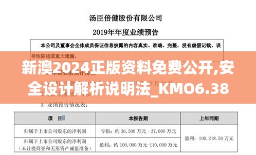 新澳2024正版资料免费公开,安全设计解析说明法_KMO6.38