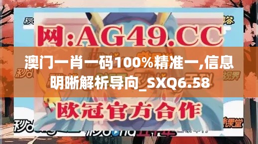 澳门一肖一码100%精准一,信息明晰解析导向_SXQ6.58