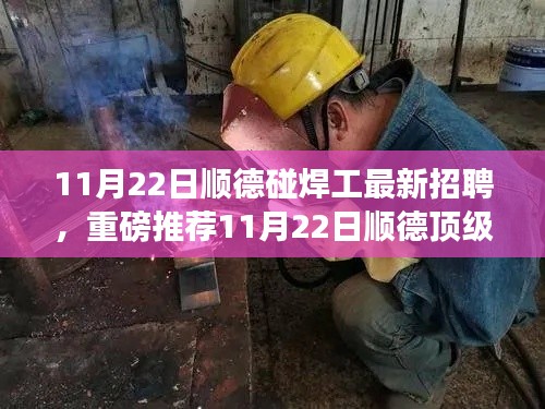 11月22日顺德顶级焊工招聘启事，优质职位挑战，寻找最优秀的碰焊工