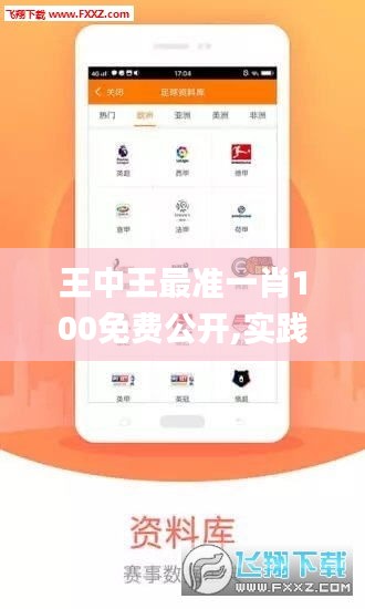 王中王最准一肖100免费公开,实践数据分析评估_JCW7.60