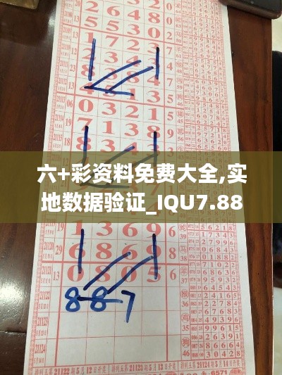 六+彩资料免费大全,实地数据验证_IQU7.88