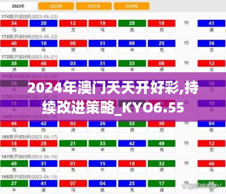 2024年澳门天天开好彩,持续改进策略_KYO6.55