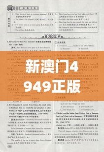 新澳门4949正版大全,最新答案诠释说明_VYC6.67