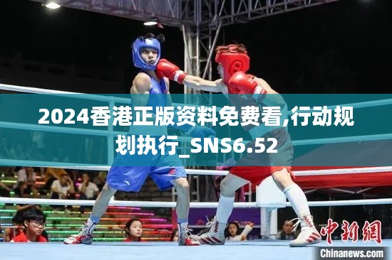 2024香港正版资料免费看,行动规划执行_SNS6.52