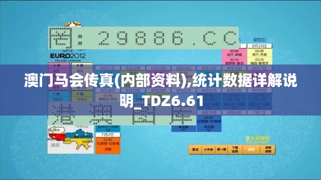 澳门马会传真(内部资料),统计数据详解说明_TDZ6.61