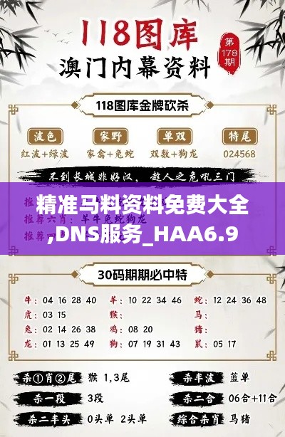 精准马料资料免费大全,DNS服务_HAA6.9