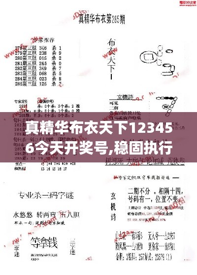 真精华布衣天下123456今天开奖号,稳固执行方案计划_BWR7.27