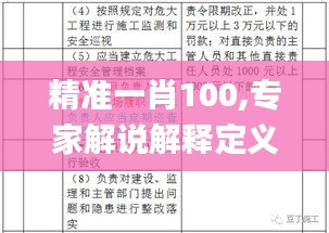 精准一肖100,专家解说解释定义_QGI7.52