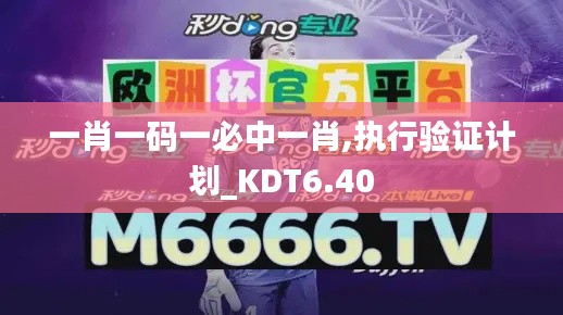 一肖一码一必中一肖,执行验证计划_KDT6.40