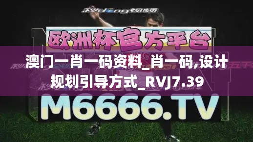 澳门一肖一码资料_肖一码,设计规划引导方式_RVJ7.39