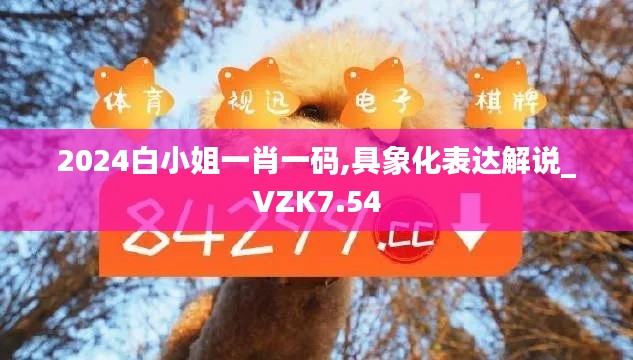 2024白小姐一肖一码,具象化表达解说_VZK7.54