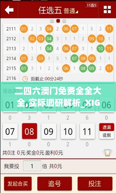 二四六澳门免费全全大全,实际调研解析_XIG6.82