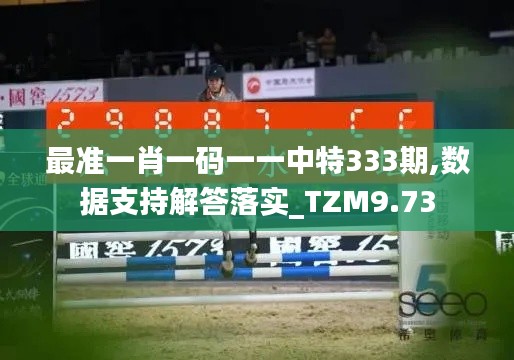 最准一肖一码一一中特333期,数据支持解答落实_TZM9.73