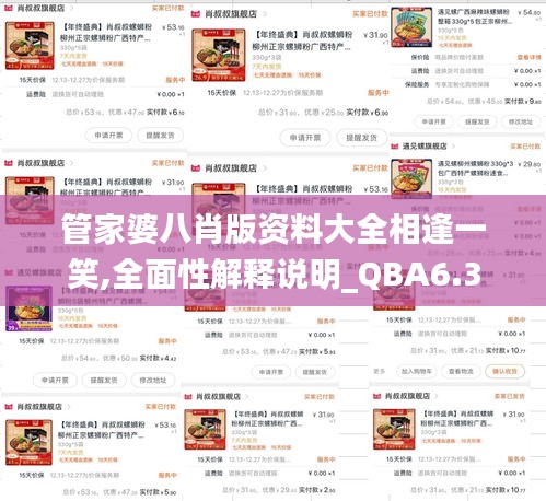 管家婆八肖版资料大全相逢一笑,全面性解释说明_QBA6.3