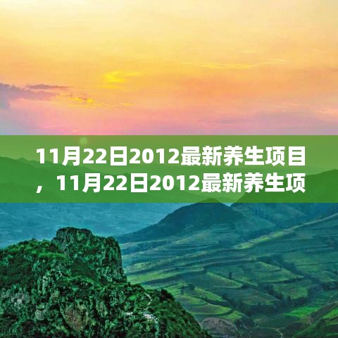 深度探讨，最新养生项目及其影响力——我的观点分析