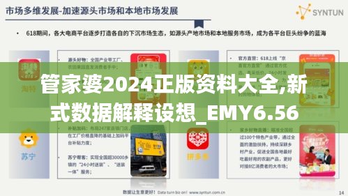 管家婆2024正版资料大全,新式数据解释设想_EMY6.56