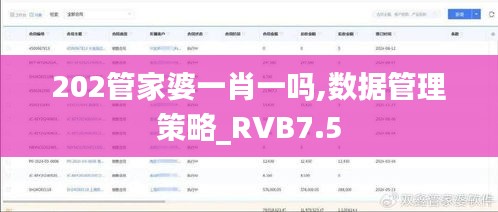 202管家婆一肖一吗,数据管理策略_RVB7.5