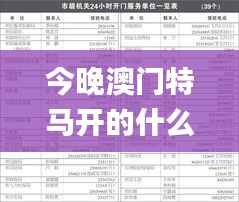 今晚澳门特马开的什么号码2024,深入研究执行计划_FOW7.80