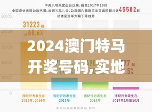 2024澳门特马开奖号码,实地数据验证_WGS7.28