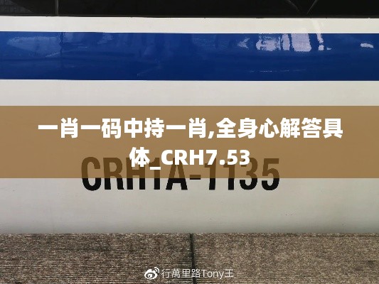 一肖一码中持一肖,全身心解答具体_CRH7.53