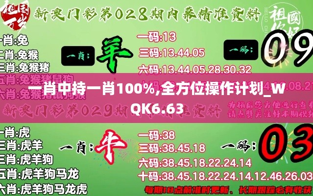 一肖中持一肖100%,全方位操作计划_WQK6.63