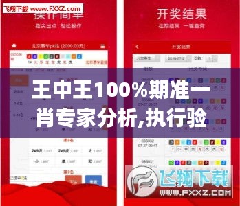 王中王100%期准一肖专家分析,执行验证计划_XSV7.35