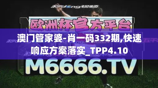 澳门管家婆-肖一码332期,快速响应方案落实_TPP4.10