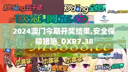 2024澳门今期开奖结果,安全保障措施_DXR7.38