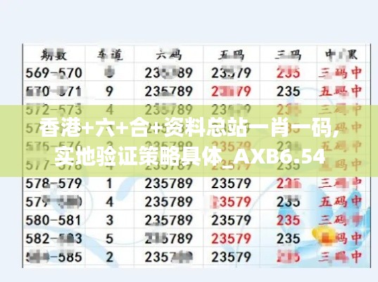 香港+六+合+资料总站一肖一码,实地验证策略具体_AXB6.54