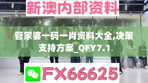 管家婆一码一肖资料大全,决策支持方案_QFY7.1