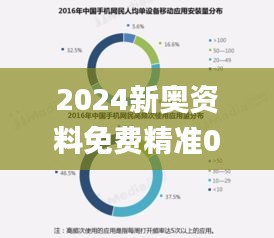 2024新奥资料免费精准061,高效性设计规划_IJZ6.67