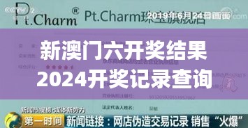 新澳门六开奖结果2024开奖记录查询网站,实地研究解答协助_JKW6.92