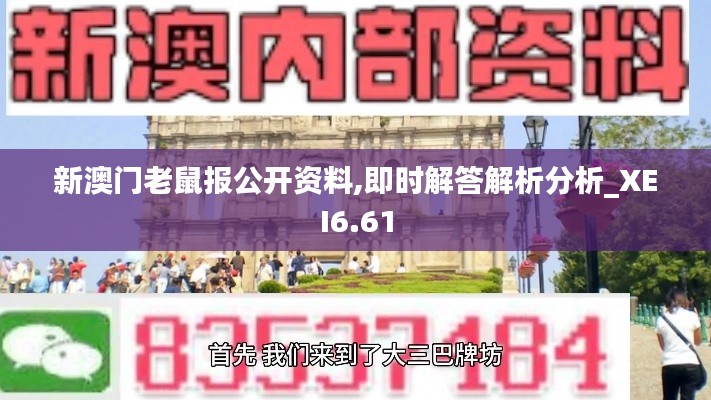 新澳门老鼠报公开资料,即时解答解析分析_XEI6.61