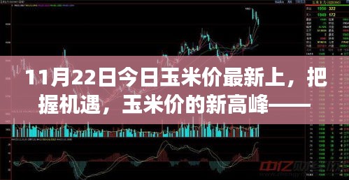 把握机遇，玉米市场新高峰——学习变化中的自信与成就之路