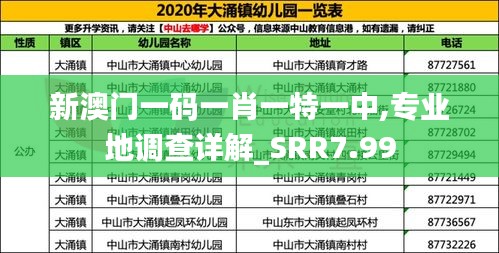 新澳门一码一肖一特一中,专业地调查详解_SRR7.99