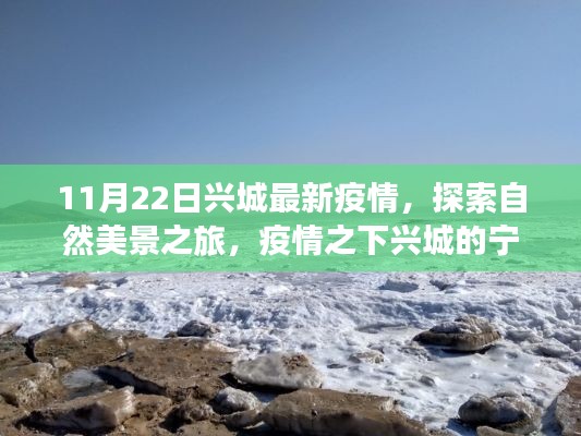 11月22日兴城疫情下的自然探索，宁静角落的心灵之旅