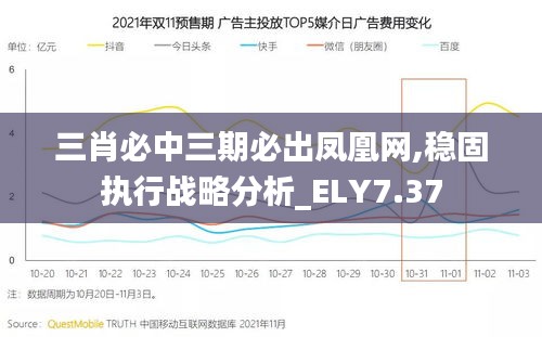 三肖必中三期必出凤凰网,稳固执行战略分析_ELY7.37