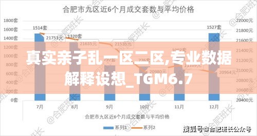 真实亲子乱一区二区,专业数据解释设想_TGM6.7