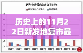 历史上的11月22日新发地复市最新规划深度解读与观点阐述，市场复苏的蓝图揭秘