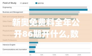 新奥免费料全年公开86期开什么,数据解释说明规划_CEQ6.94