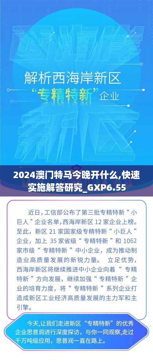 2024澳门特马今晚开什么,快速实施解答研究_GXP6.55