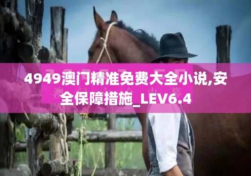 4949澳门精准免费大全小说,安全保障措施_LEV6.4